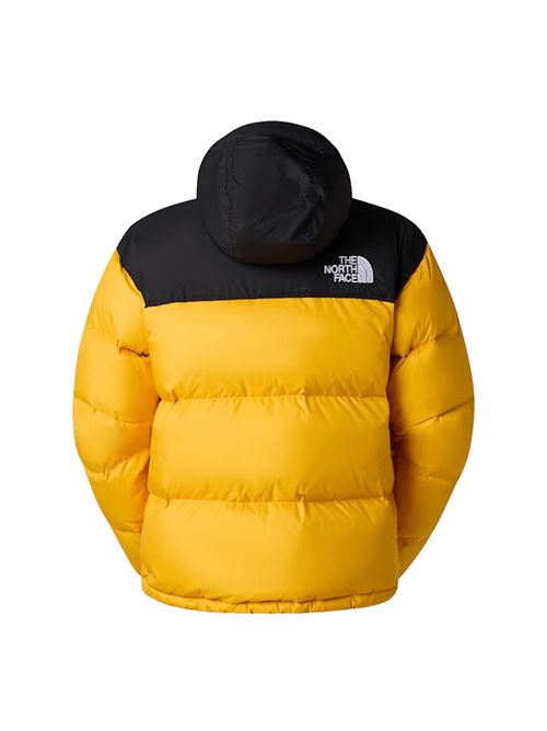 Giaccone da uomo in piuma d'oca, trapuntato , cappuccio ripiegabile, colore gold/black. THE NORTH FACE | NF0A3C8DGO81